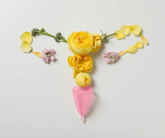 Microbiota/ flora vaginala. Cum influențează microbiomul vaginal fertilitatea și sănătatea intimă