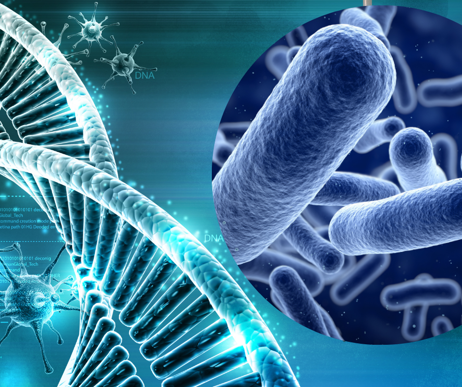 Microbiom. Evaluarea florei intestinale.  Beneficiile Testului MAX