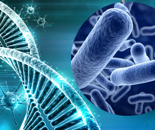 Microbiom. Evaluarea florei intestinale.  Beneficiile Testului MAX