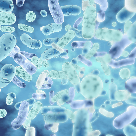 Disbioza intestinala