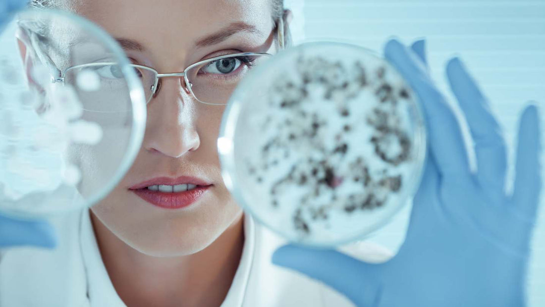 Disbioza/ Microbiom. Cum aleg cel mai fiabil test?