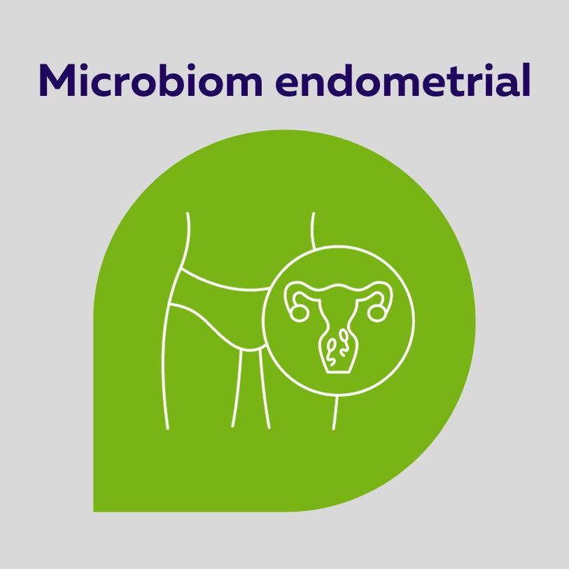 MICROBIOM ENDOMETRIAL
