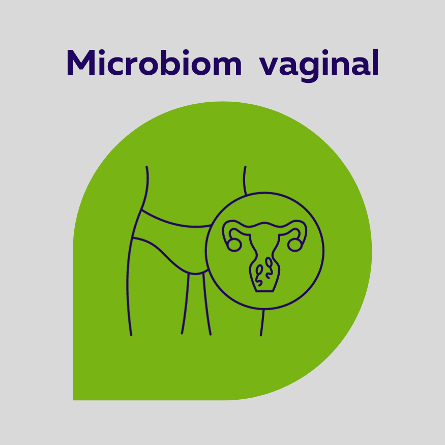 Disbioza/ microbiom vaginal