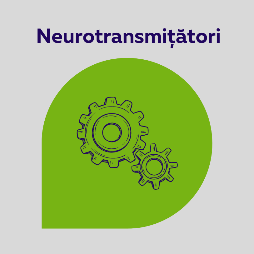 evaluarea sistemului nervos