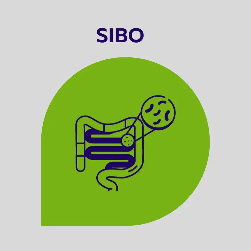 Test  SIBO