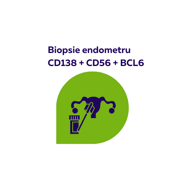 Biopsie endometru  fertilitateCD138, CD56, BCL6