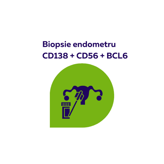 Biopsie endometru  fertilitateCD138, CD56, BCL6