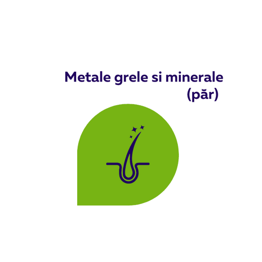 Test metale grele in par
